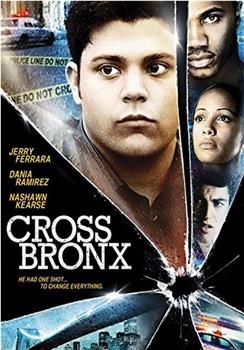 Cross Bronx观看