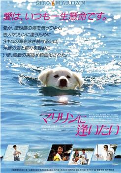 想见玛丽琳观看