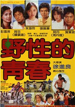 野性的青春观看