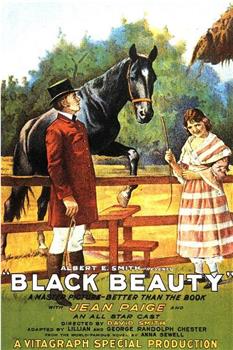 Black Beauty观看