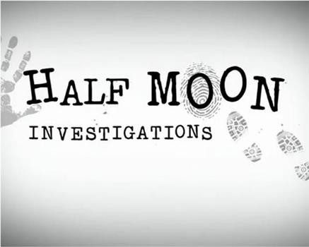 Half Moon Investigations观看