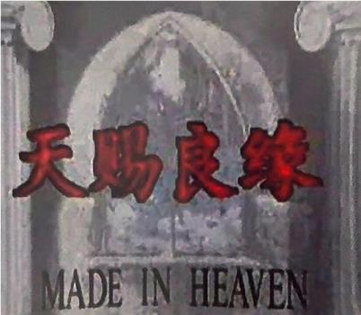 天赐良缘观看