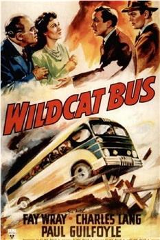 Wildcat Bus观看