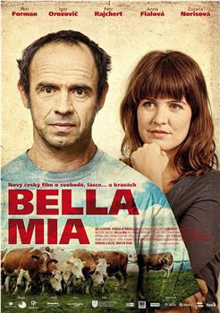 Bella mia观看