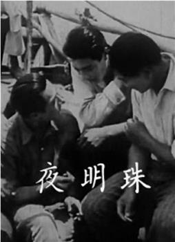 夜明珠观看