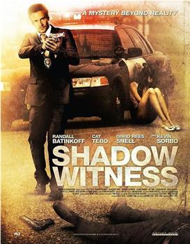 Shadow Witness观看