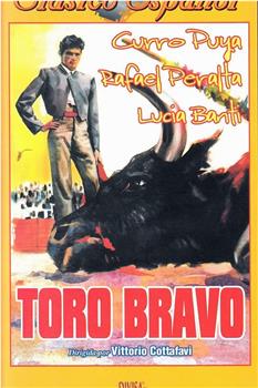Toro bravo观看