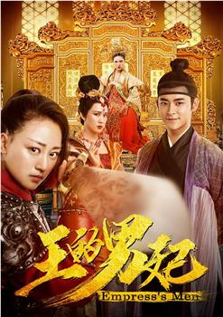 王的男妃下载