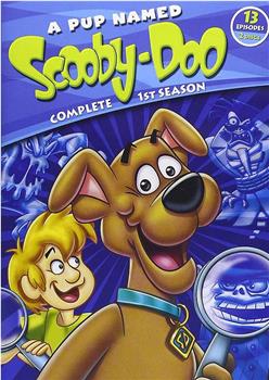 A Pup Named Scooby-Doo观看