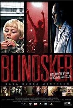 Blindsker: Saga Bubba Morthens观看