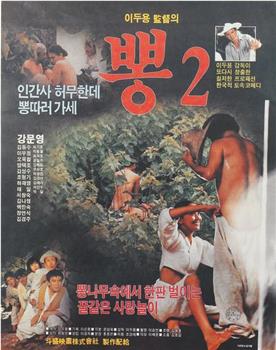 桑树 2观看
