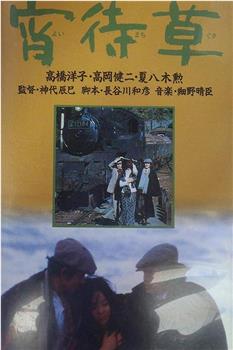 宵待草观看