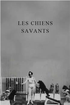 Les chiens savants观看