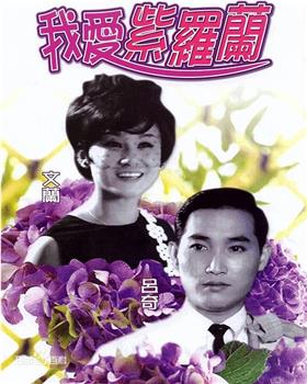 我爱紫罗兰观看