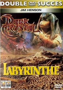 Labyrinth观看