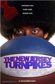 New Jersey Turnpikes观看