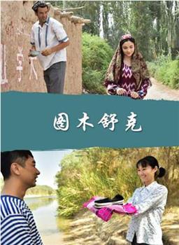 图木舒克观看