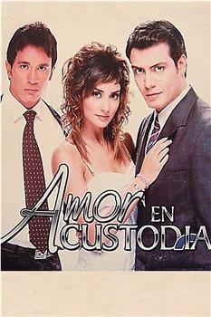 Amor en custodia观看