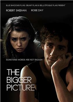 The Bigger Picture观看