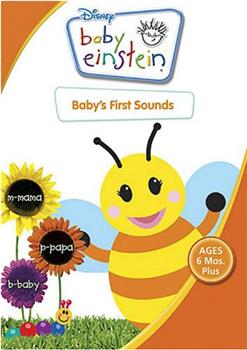 Baby Einstein: Baby's First Sounds观看