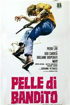 Pelle di bandito观看