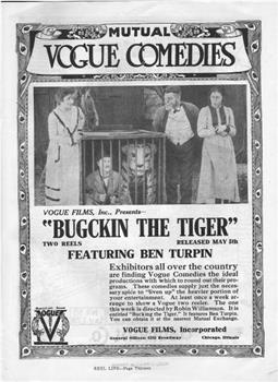 Bucking the Tiger观看