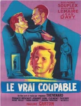 Le vrai coupable观看