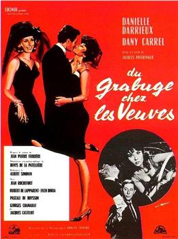Du grabuge chez les veuves观看