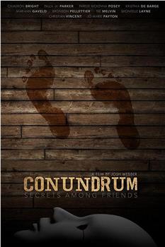 Conundrum: Secrets Among Friends观看
