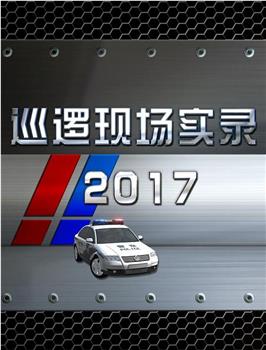 巡逻现场实录2017观看