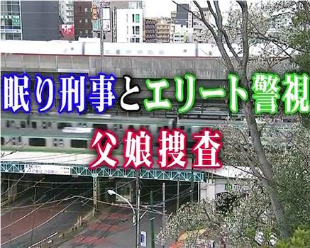 おかしな刑事12观看