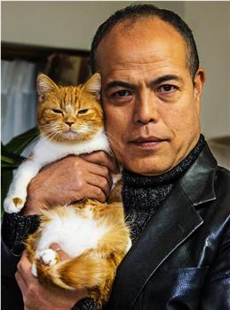 猫和凶相大叔2观看