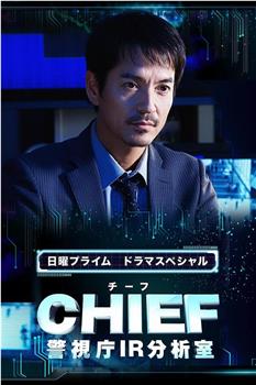 CHIEF～警视厅IR分析室～观看