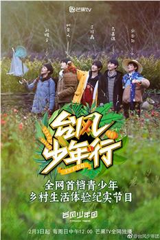 台风少年行观看