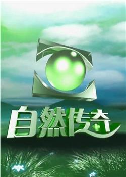 自然传奇观看