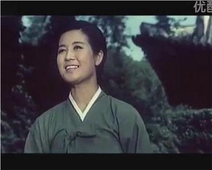 苍松观看