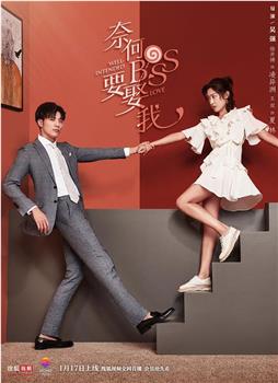 奈何boss要娶我观看