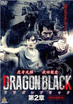 DRAGON BLACK 第2章观看