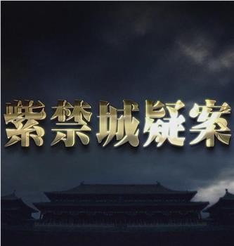 紫禁城疑案观看