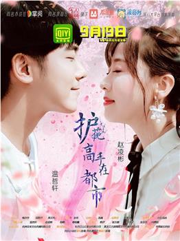 护花高手在都市观看