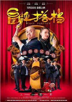 冒牌搭档下载