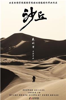 沙丘观看