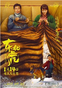 东北虎观看