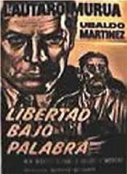 Libertad bajo palabra观看