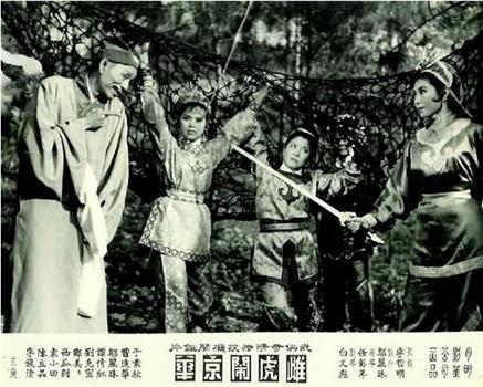 雌虎闹京华观看