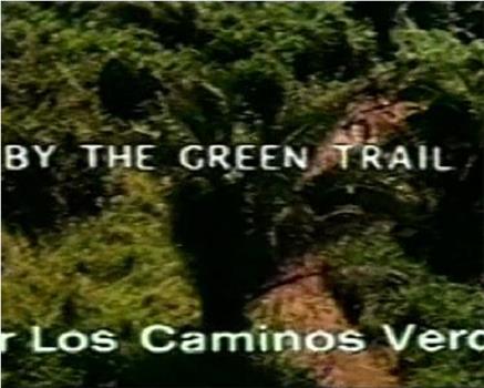 Por los caminos verdes观看