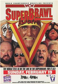 WCW SuperBrawl V观看