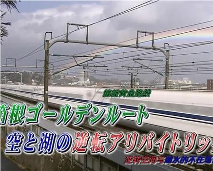 西村京太郎悬疑系列 铁道搜查官14观看