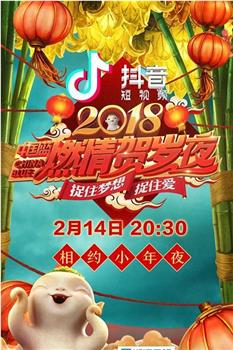 浙江卫视2018中国蓝燃情贺岁夜观看