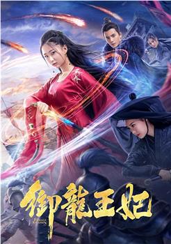 御龙王妃观看